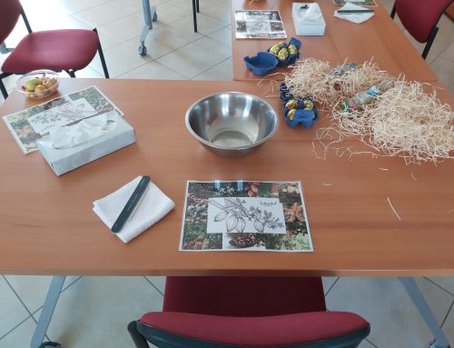 Atelier « des mains à croquer »