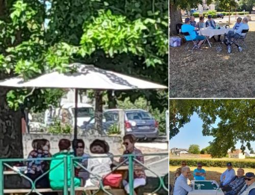 Discutons sous les arbres