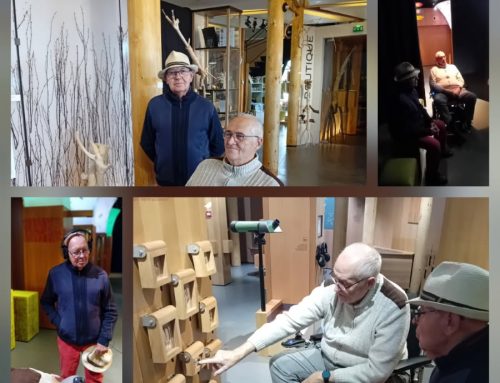 Entre détente, culture et convivialité : les aidants en action !