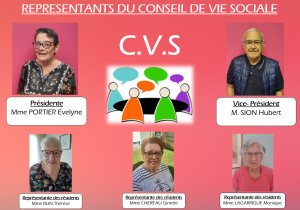 Représentants du CVS Mayet 2025