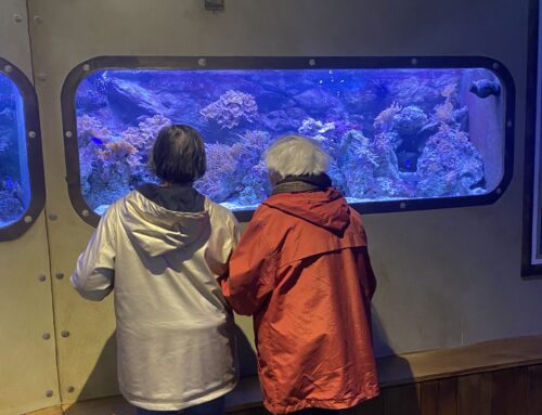 A la découverte de l&rsquo;Aquarium de Touraine par les résidents du PASA